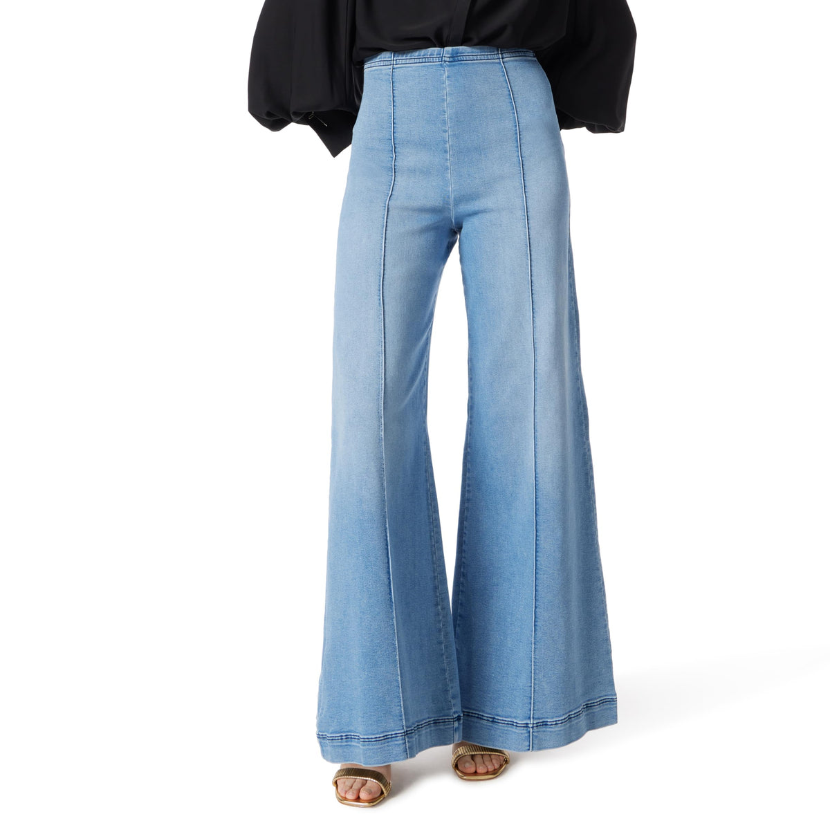 Women's High Rise Pull on Pin Tuck Pant Standard
