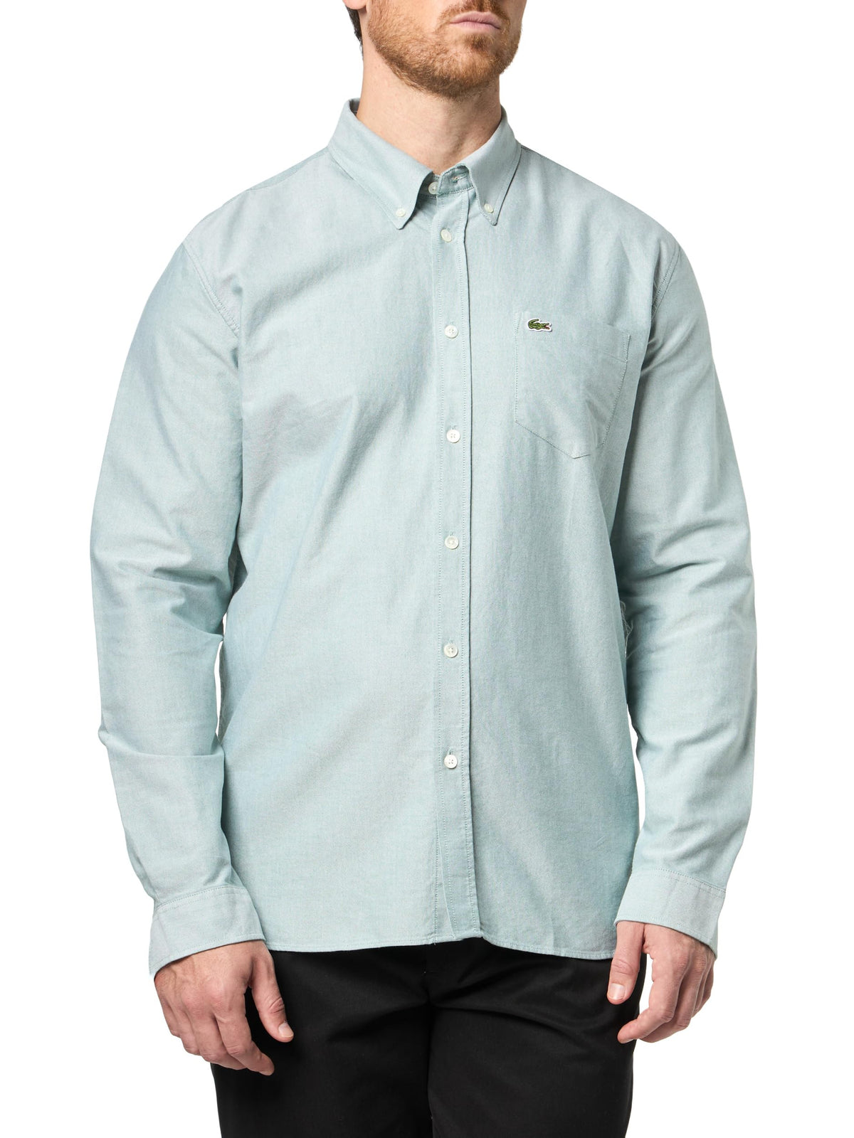 Mens Regular Fit Oxford Shirt